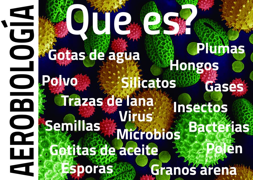 Imagen con partículas microscópicas coloreadas y la lista de lo que hay en el aire: polen, esporas, hongos, bacterias y más